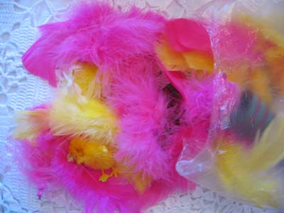 Easter feathers