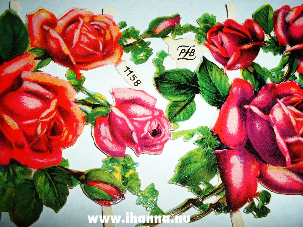 Red roses scrap die cut scan illustration