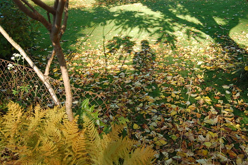 Self portrait in the garden