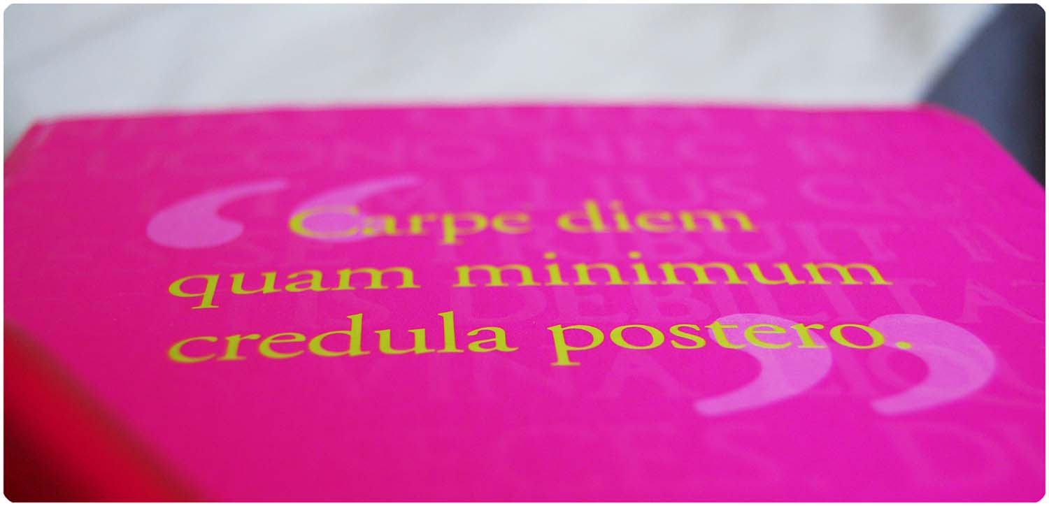 My magenta colored diary Carpe Diem. Love this cover and the quote.