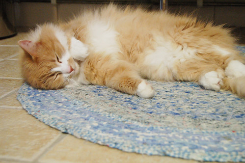 Crocheted rug - and cat