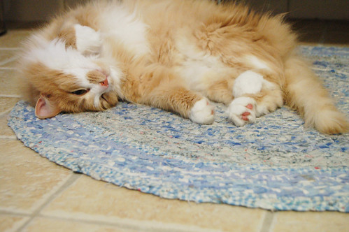 On the bathroom floor