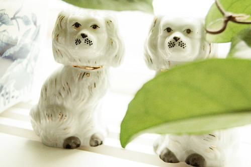 Guarding porcelain dog figurines  - by iHanna (Copyright Photo Hanna Andersson)