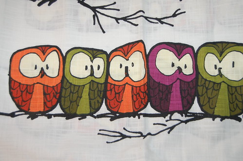 Row of owls on a kitchen tea towel from my friend Maria Lu