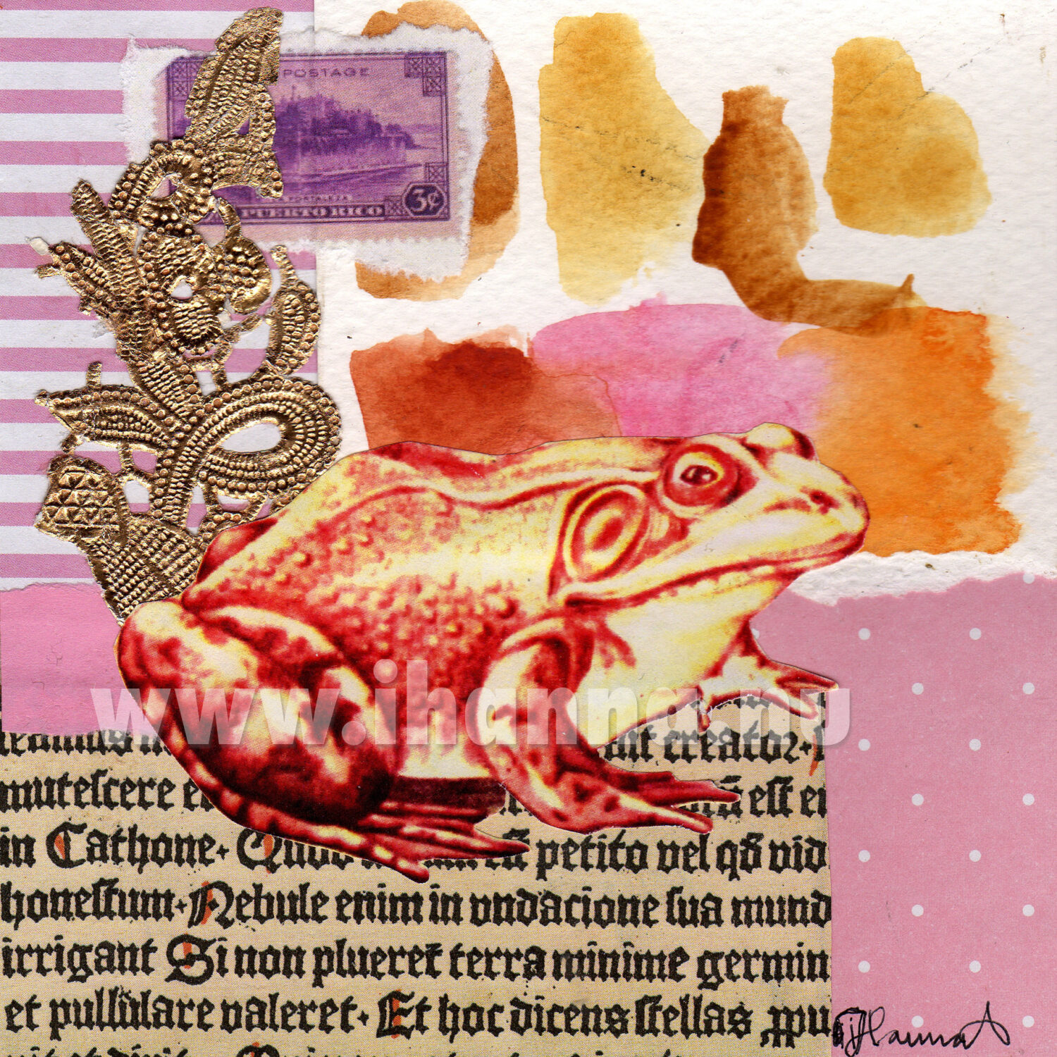 A frog collage made by iHanna (Copyright Hanna Andersson)