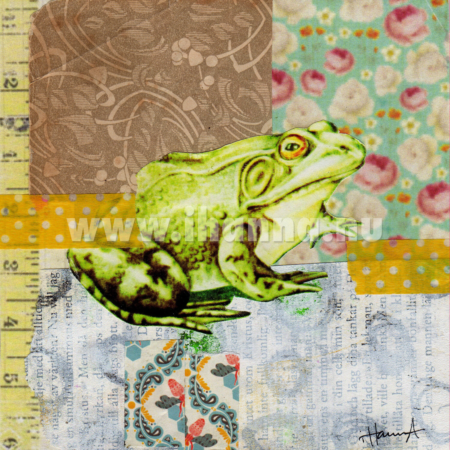 A frog collage made by iHanna (Copyright Hanna Andersson)