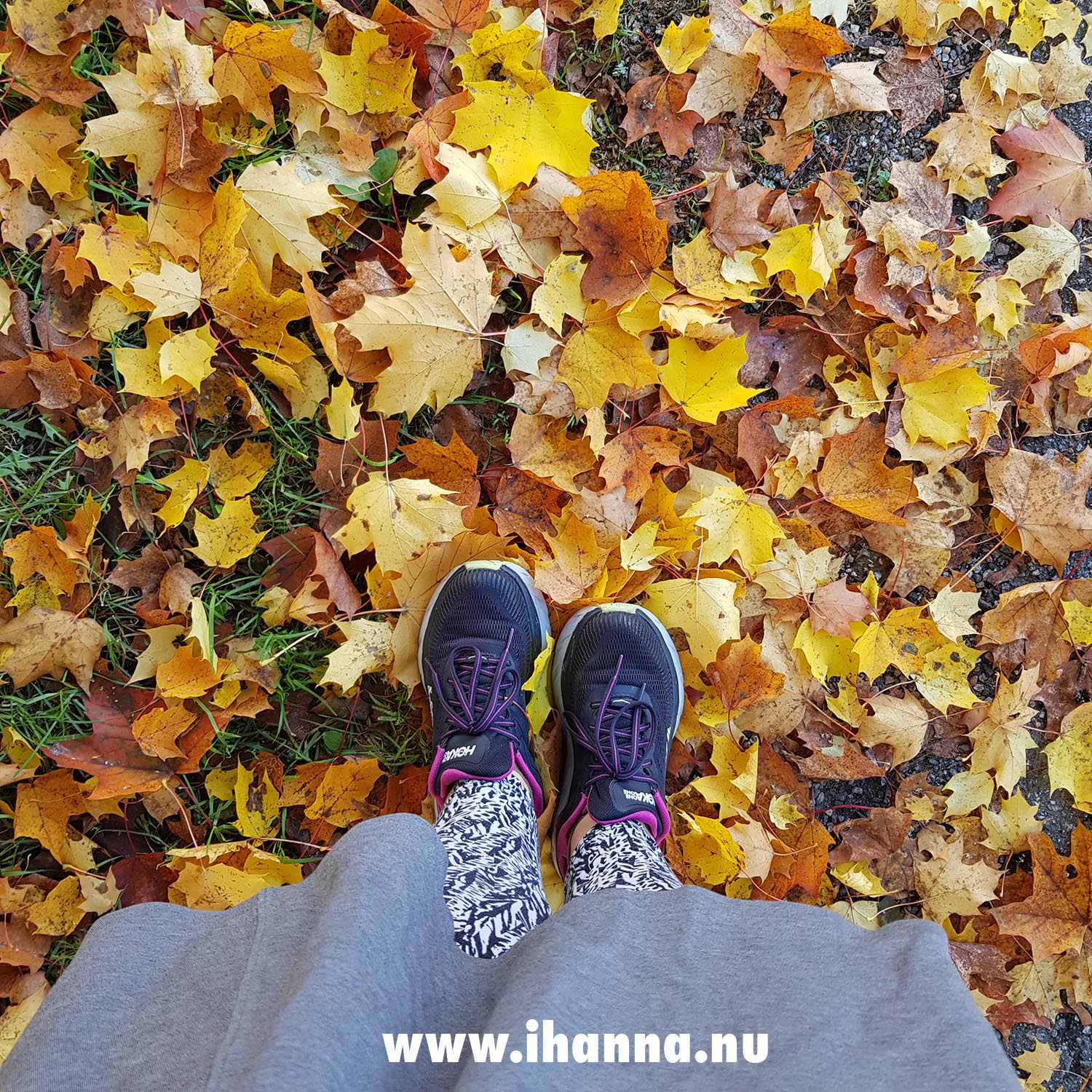 My feet walking in yellow autumn leaves that has fallen to the ground in October 2024 (Photo copyright Hanna Andersson