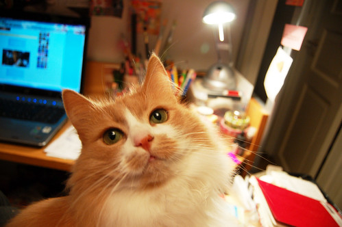 Smilla the Desk helper (photo copyright Hanna Andersson