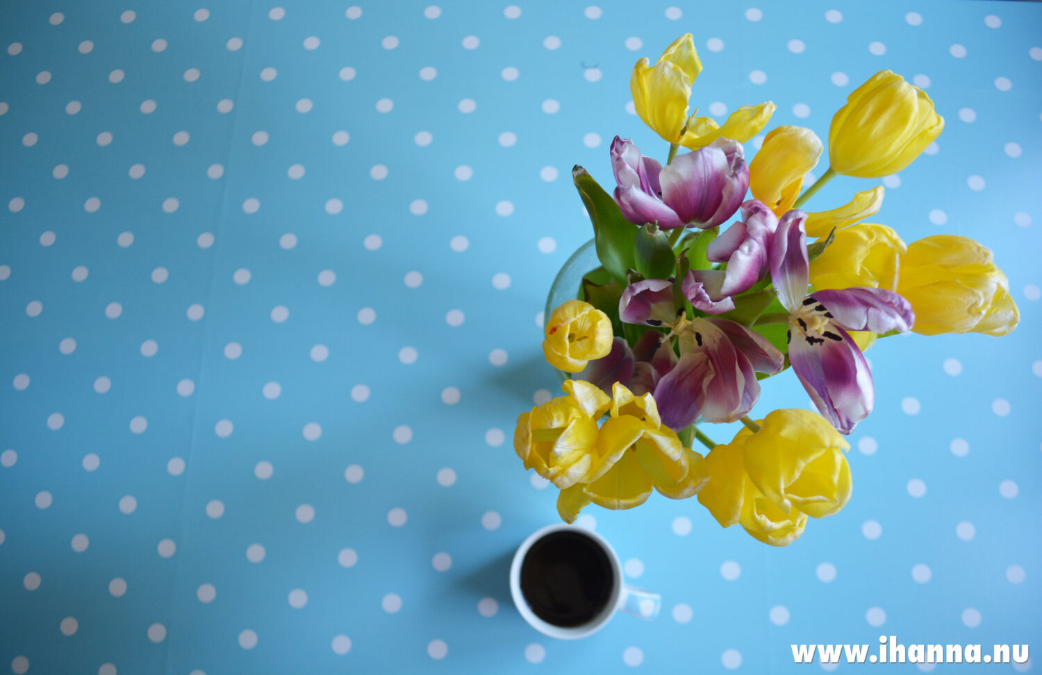 Hello to my new polka dot table covered in a cute blue oil cloth (photo copyright Hanna Andersson)