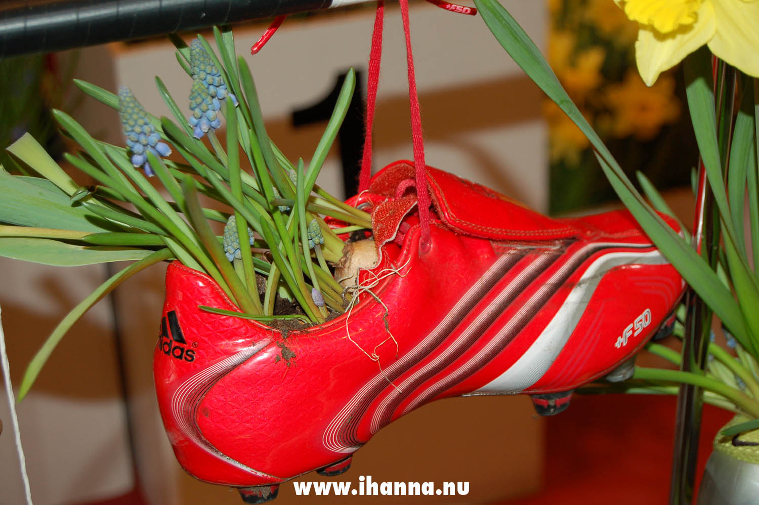 Garden inspiration on how to repurpose old shoes, photo by iHanna