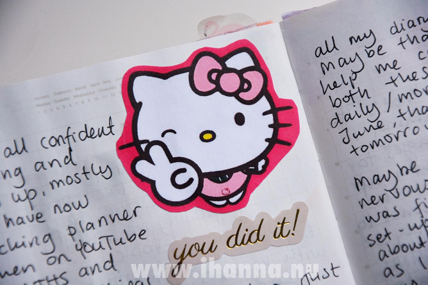 Dear Diary journaling and Hello Kitty sticker you Did it Hanna well done (Photo Copyright Hanna Andersson)