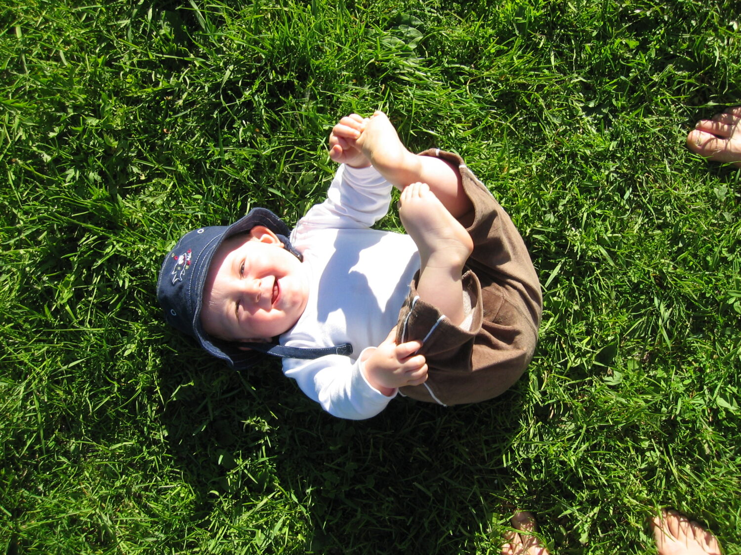 Little fellow Felix in the grass