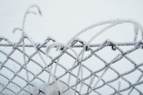 White grass in vast white landscape (Photo copyright Hanna Andersson) Sweden iHanna photography