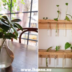 Green leaves in glass at Fotografens Cafe och Bistro (Photo Copyright Hanna Anderson)