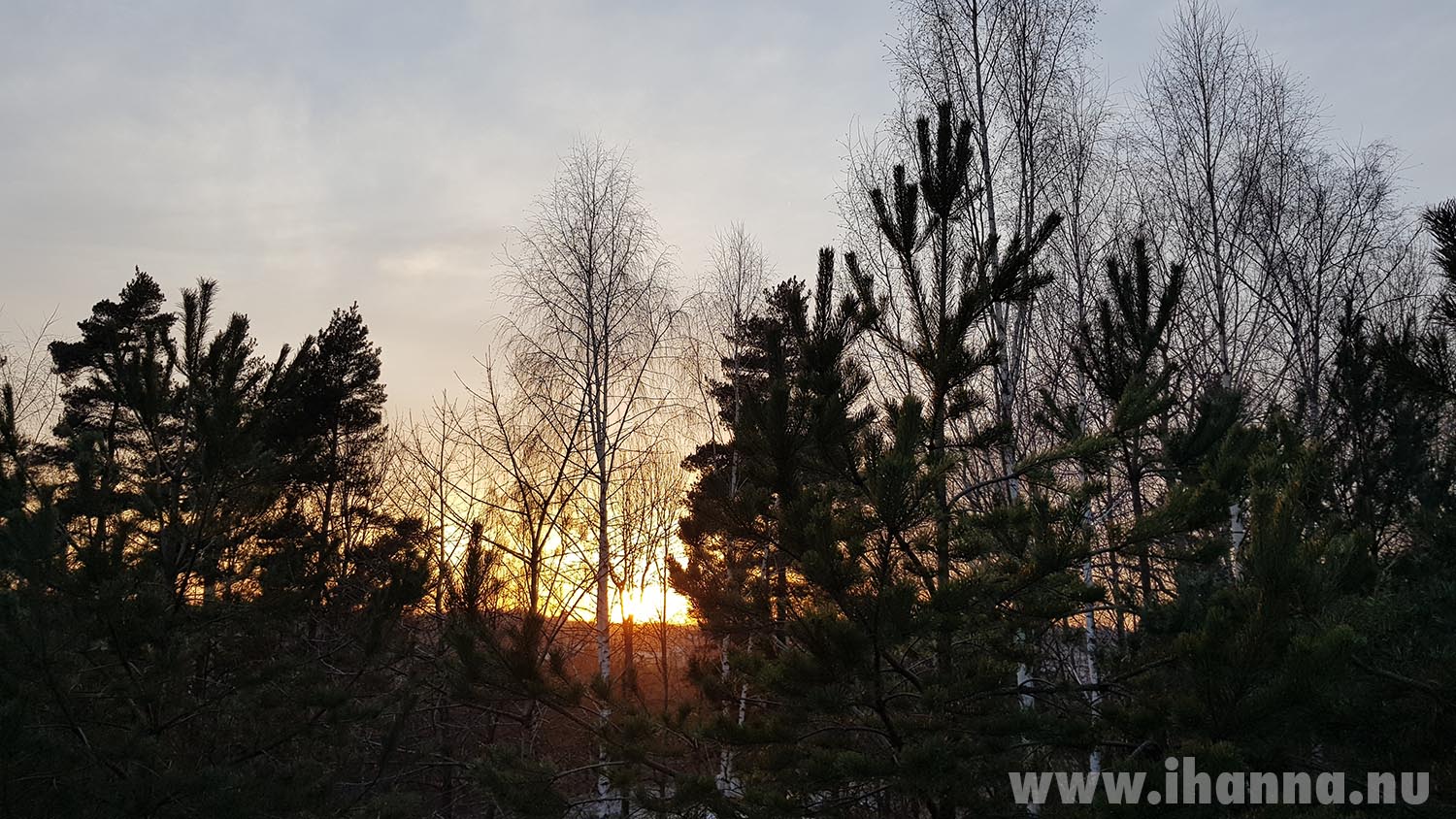 Light and darkness in Sweden (Photo copyright Hanna Andersson)