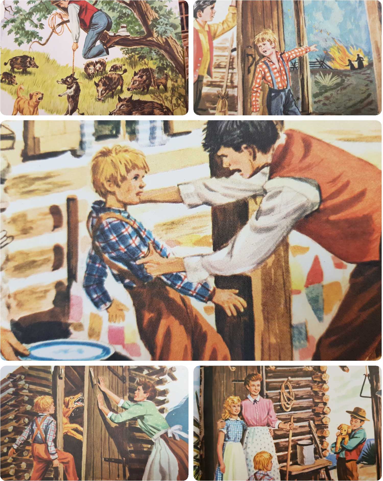 Not very happy pictures in a vintage childrensbook illustrations for the story of Old Yeller the dog