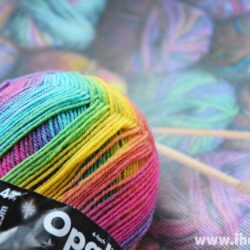 Close up of my new sockyarn Opal sockenwolle rainbow color (Photo copyright Hanna Andersson)